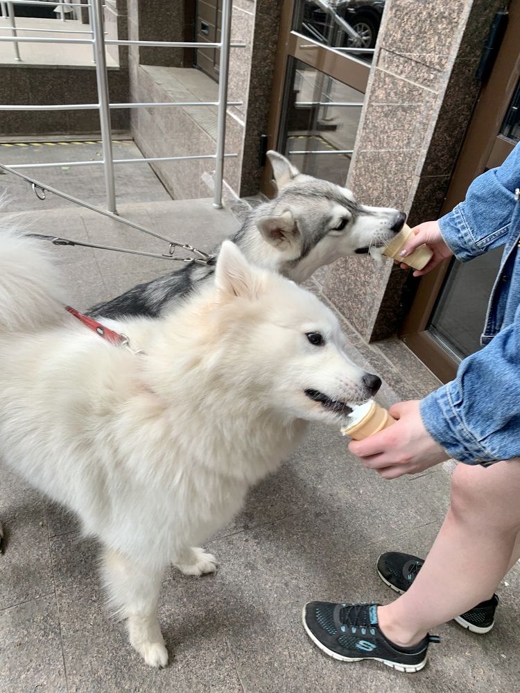 Photograph by Александр Чернега