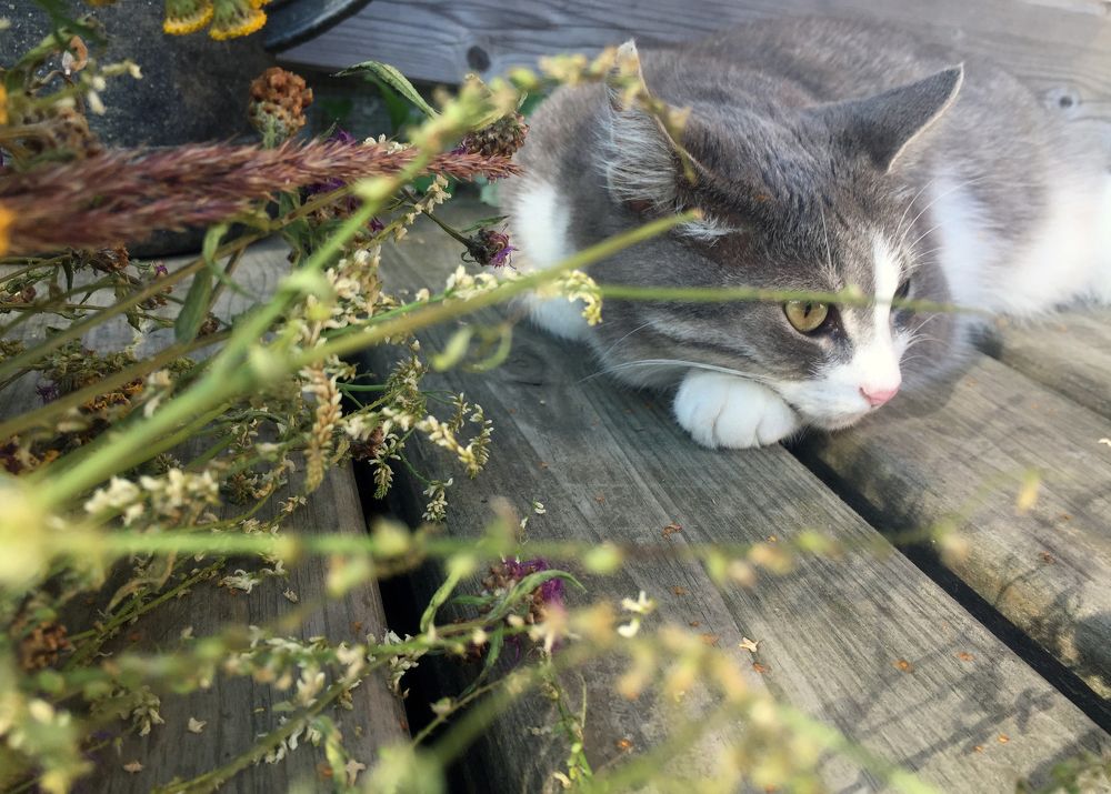 Тяжелый день