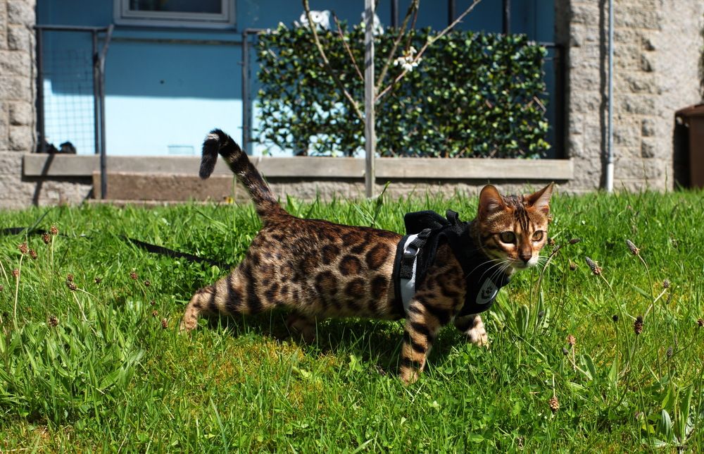 Photograph by Aleksandr Jefimov