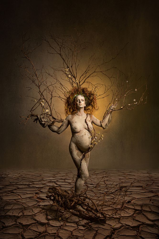 Фотография автора Anita Maggiani