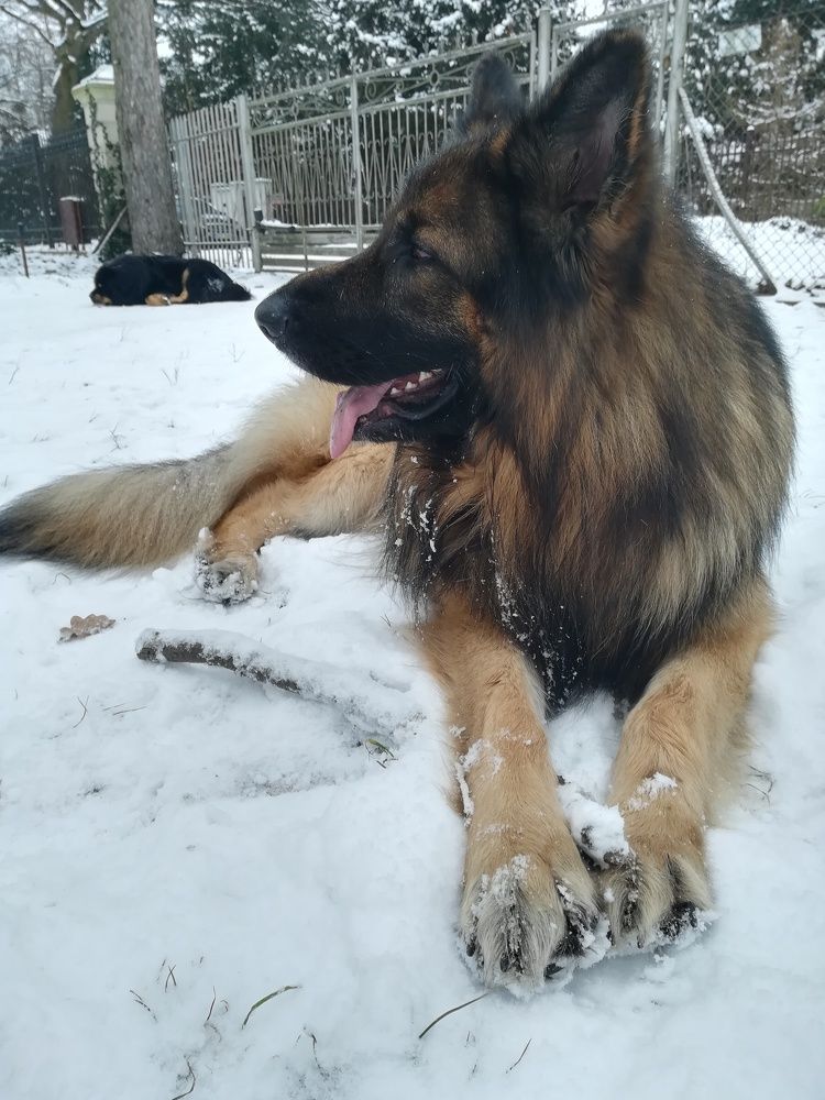 Photograph by Tomasz Aleksandrzak