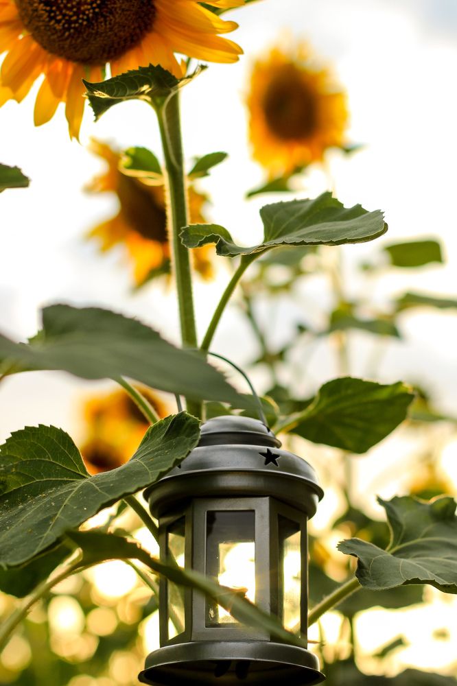 Photograph by Валерия Калиниченко