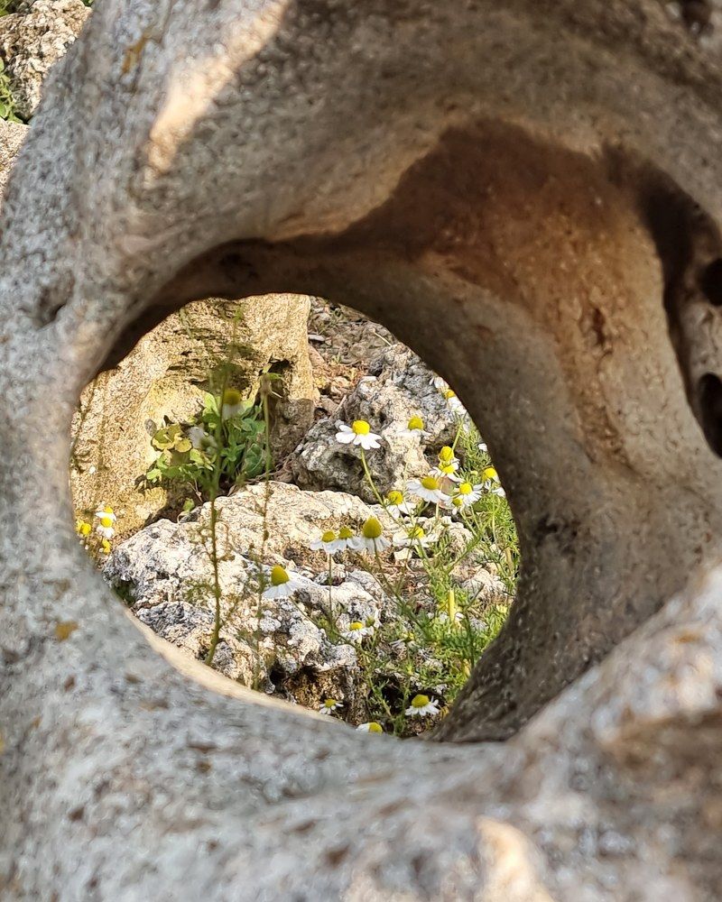 Окно в древний мир.