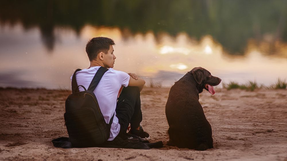 Фотография автора Виктория Шаманова