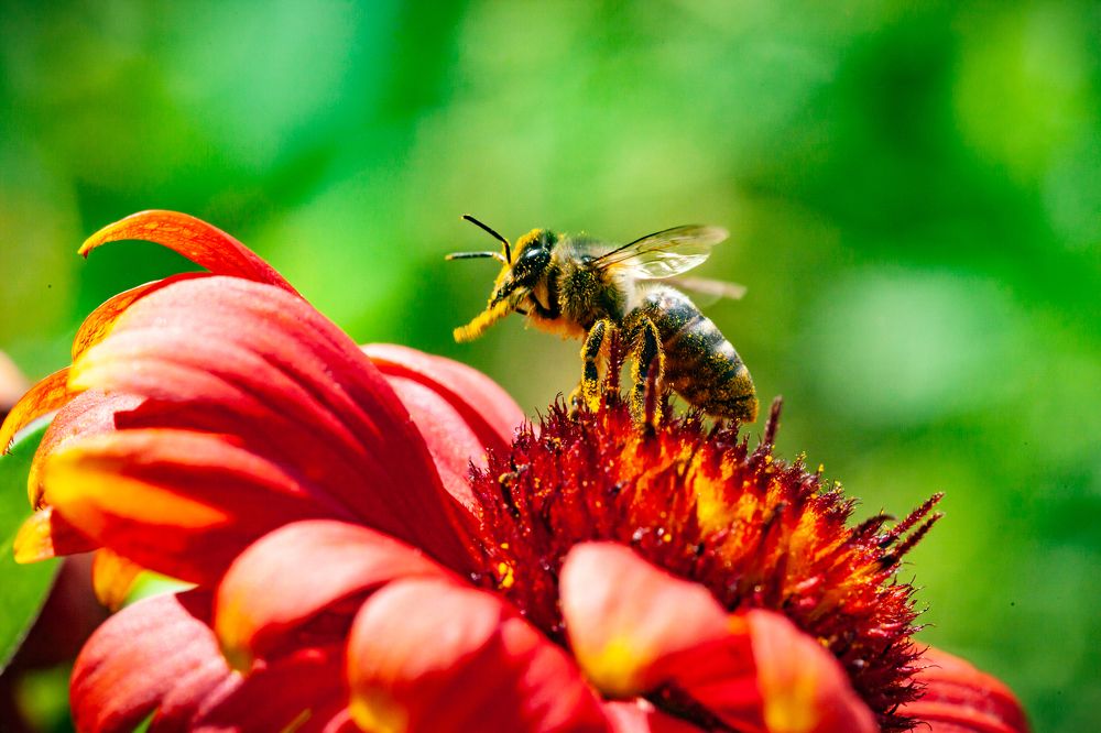 Photograph by Jose Luis Mendez Fernandez