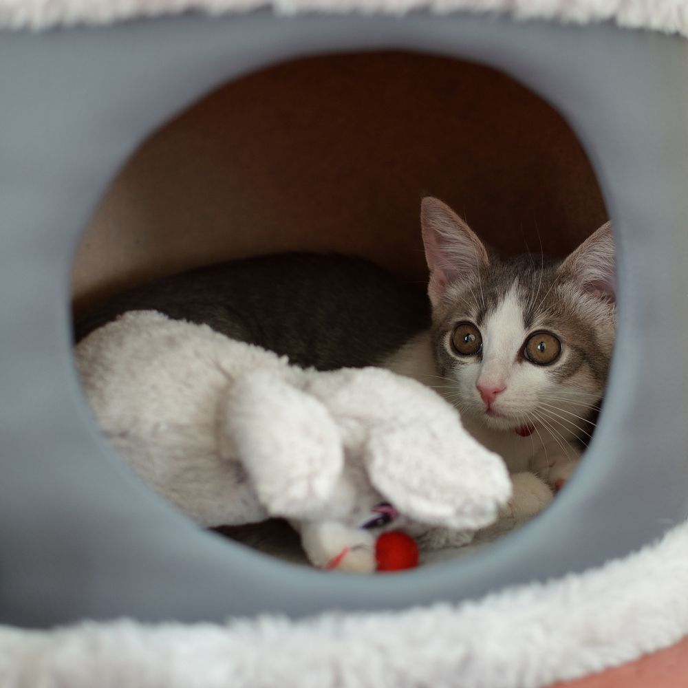 Photograph by Александр Калегин