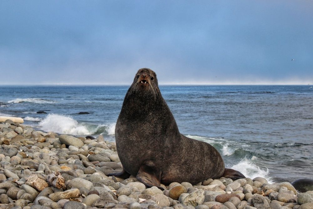 Photograph by Анжела Смирнова