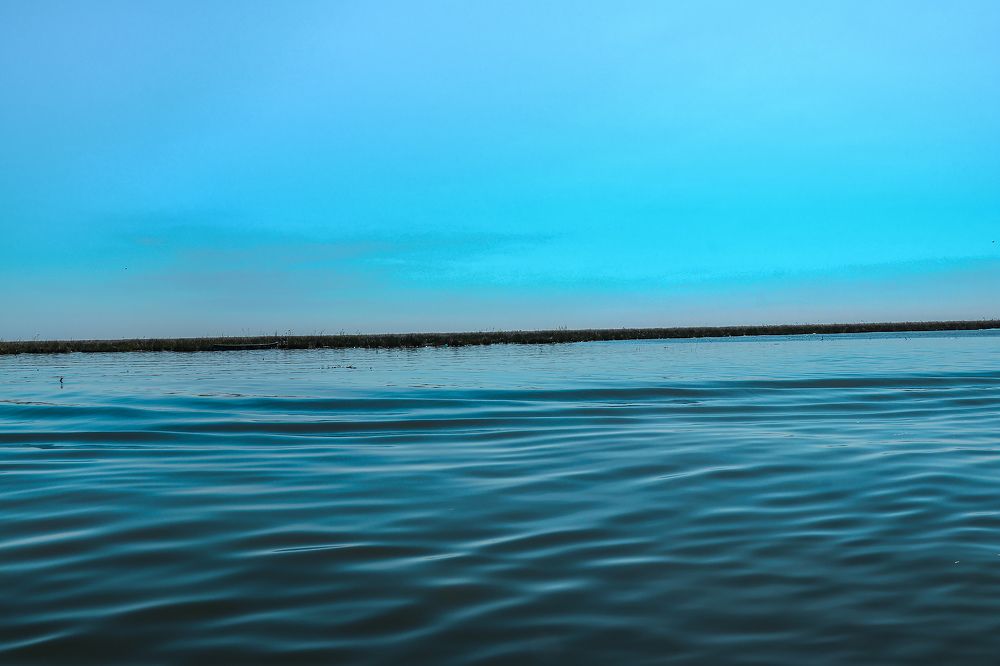 Photograph by Parisa Cheraghi