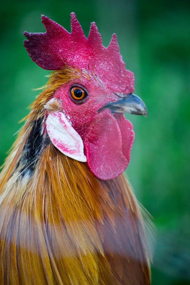 Photograph by Евгения Тарасова