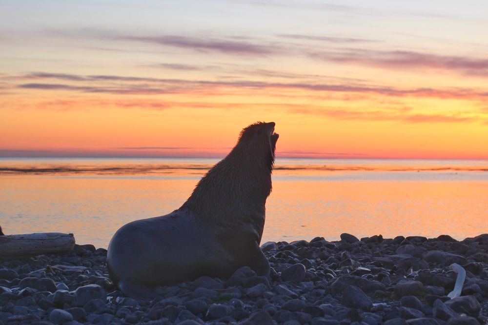 Photograph by Анжела Смирнова