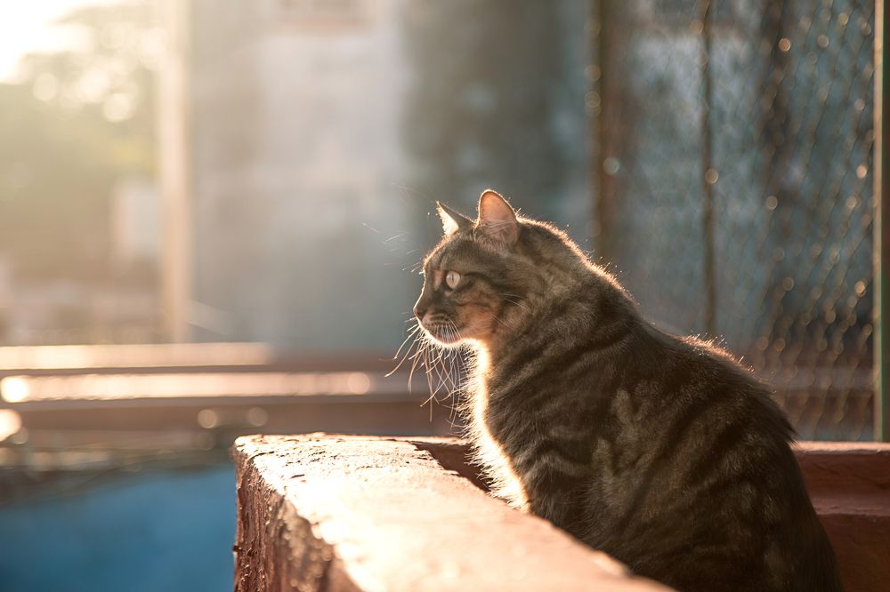 Photograph by Randy Betancourt