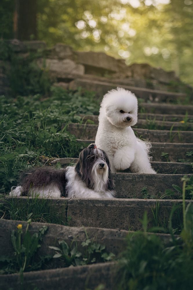 Photograph by СВЕТЛАНА ГРАЧЕВА