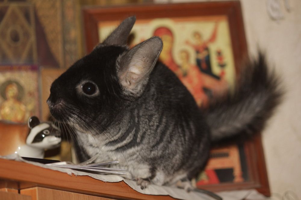 Photograph by Сергей Кочнев