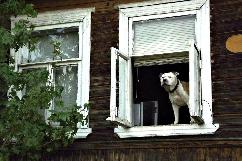 Photograph by Сергей Кочнев