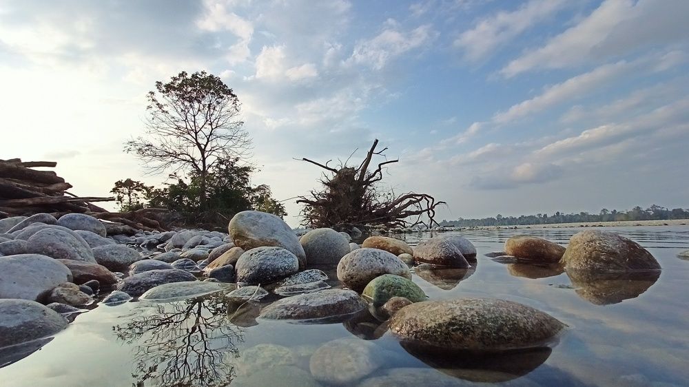 Photograph by Jemni Perme