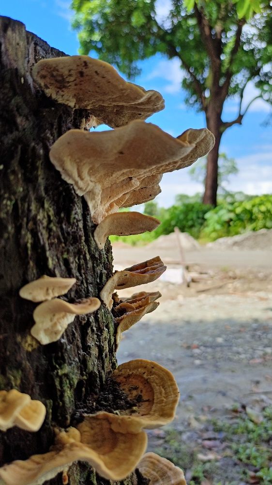 Photograph by Jemni Perme