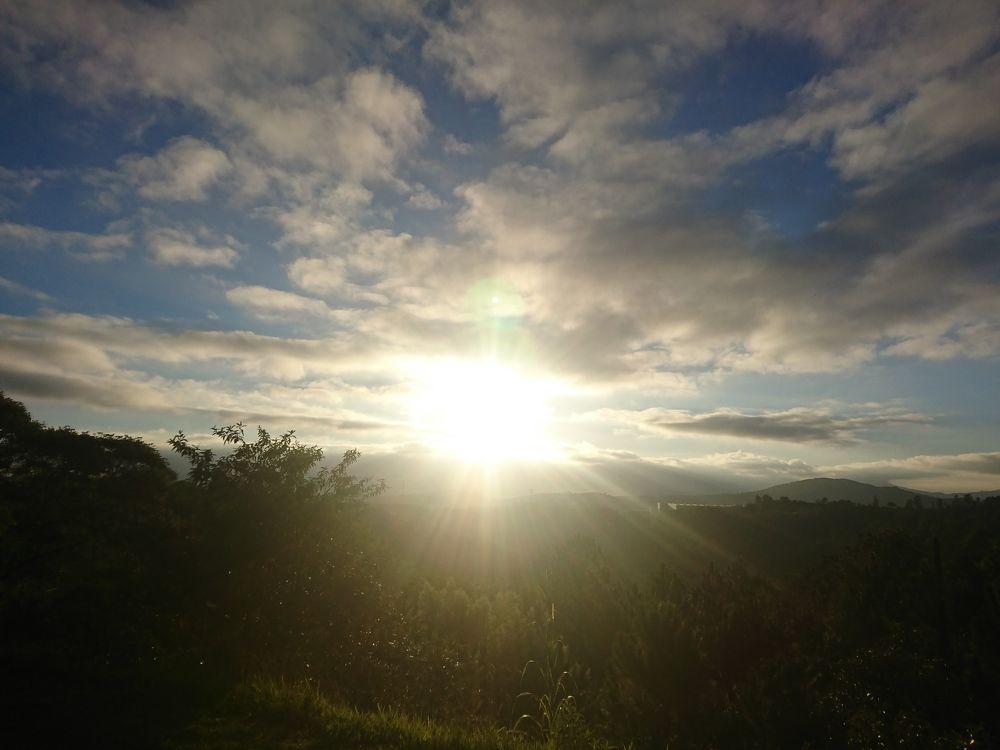 Photo #6187579