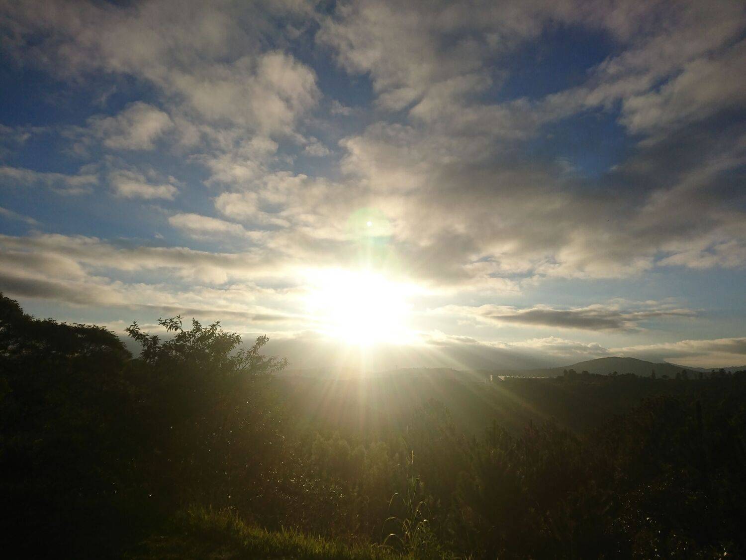 Photo #6187579
