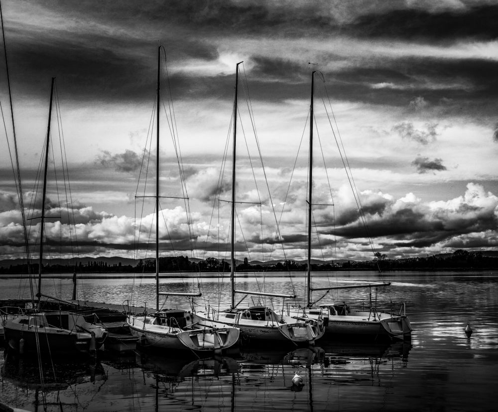 Photograph by GARCIA CHRISTOPHE