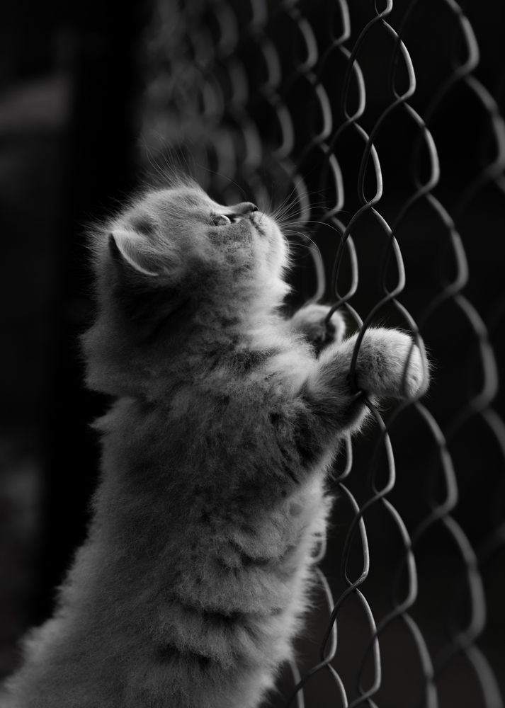 Photograph by Sanket Gudashi