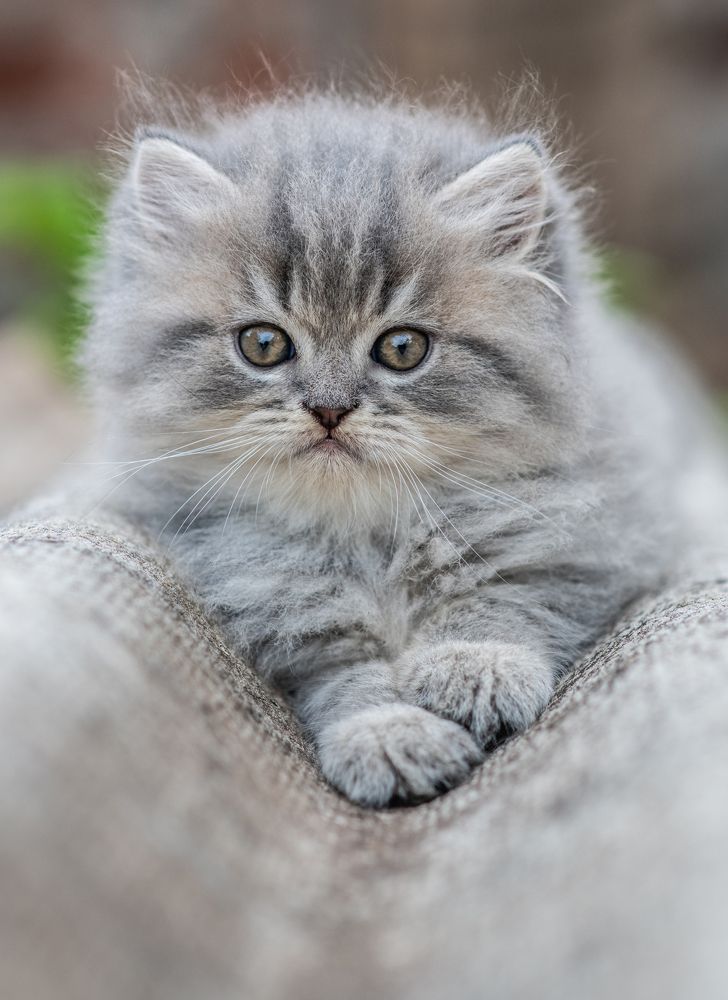 Photograph by Sanket Gudashi