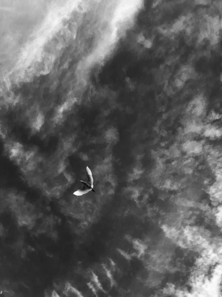 Photograph by Mahmoud Ahmed