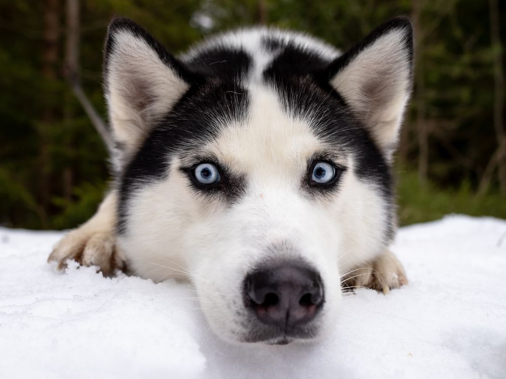 Photograph by Илья Юфа