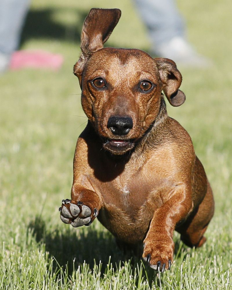 Фотография автора Mark Cavanah