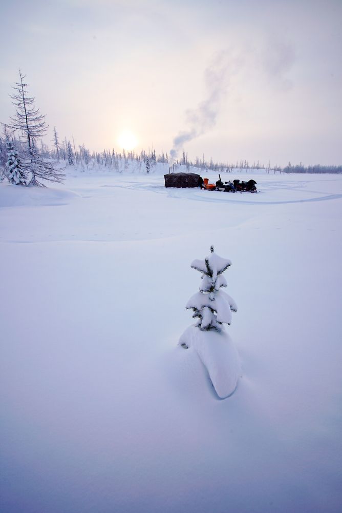 Photograph by Денис Цымбалов