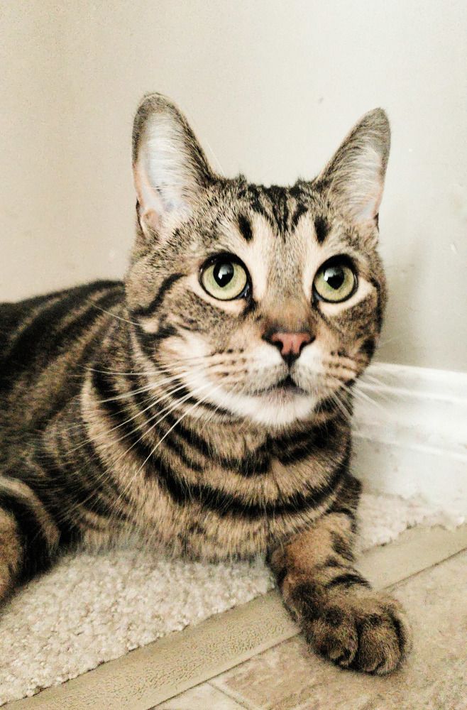 Фотография автора Al