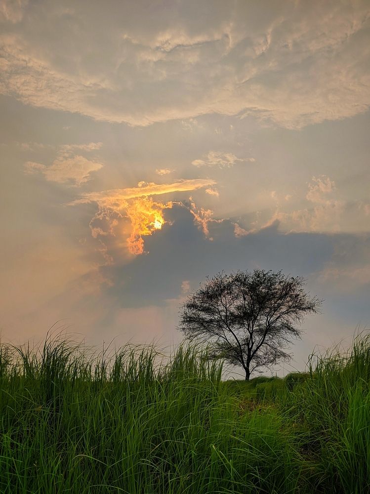 Photograph by Pavan Singh