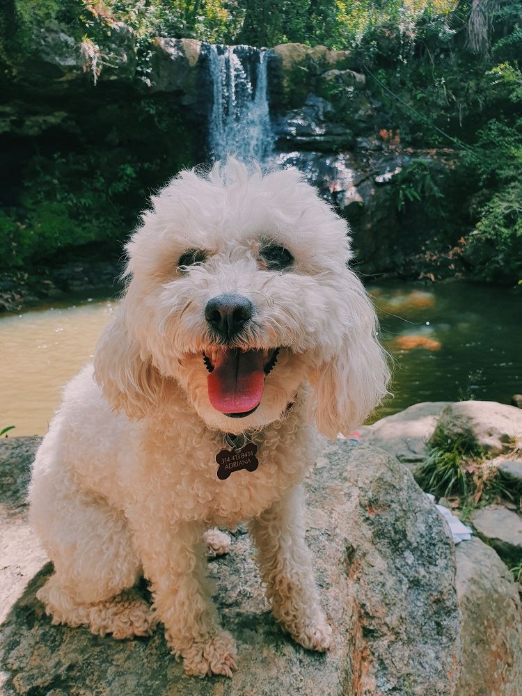 Photograph by Alicia Trimmiño