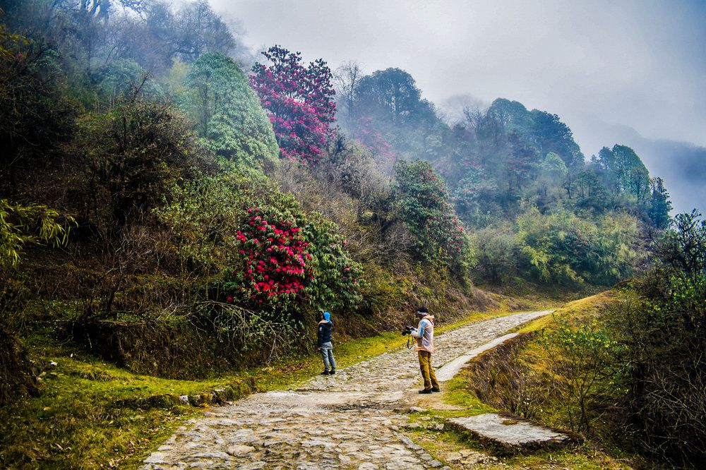 Photograph by Debanjan Das