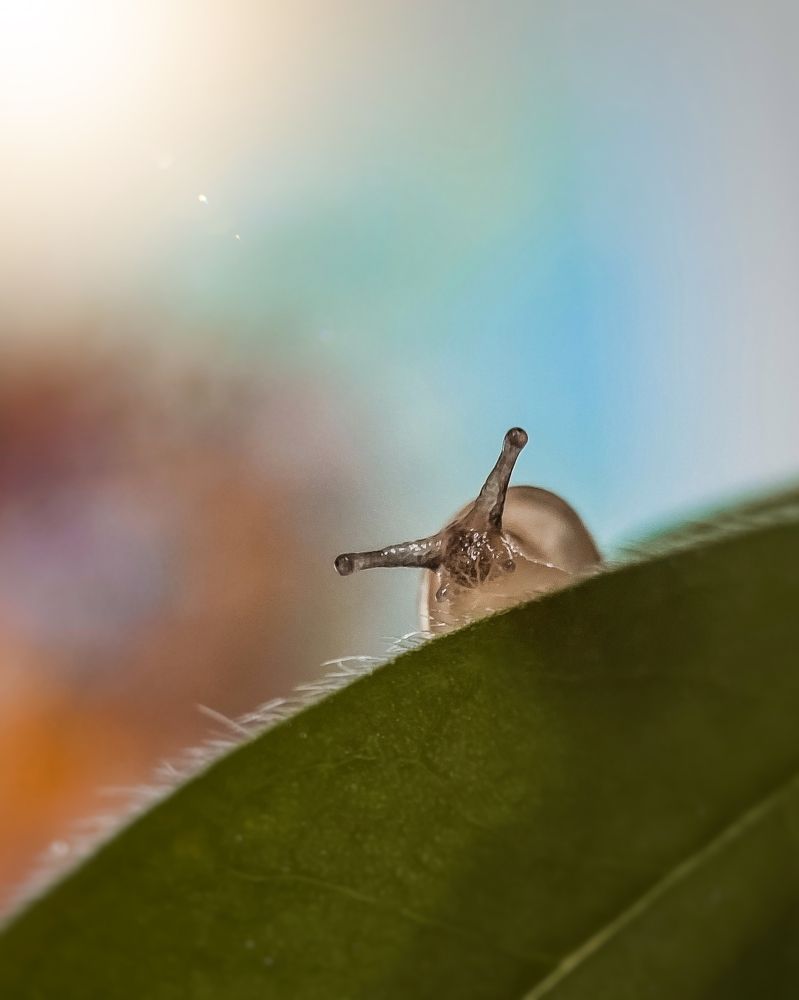 Photograph by Наталья Мальцева