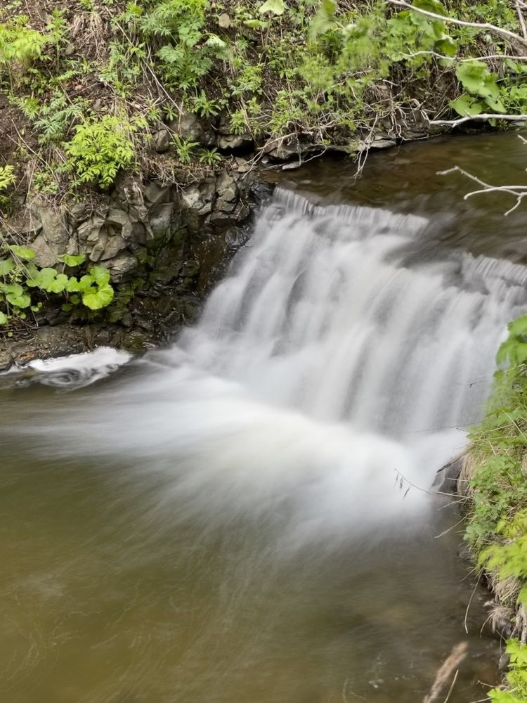 Photograph by Надежда Донская
