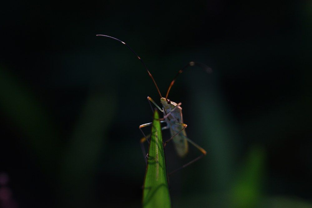 Photograph by NIKHIL H RAO