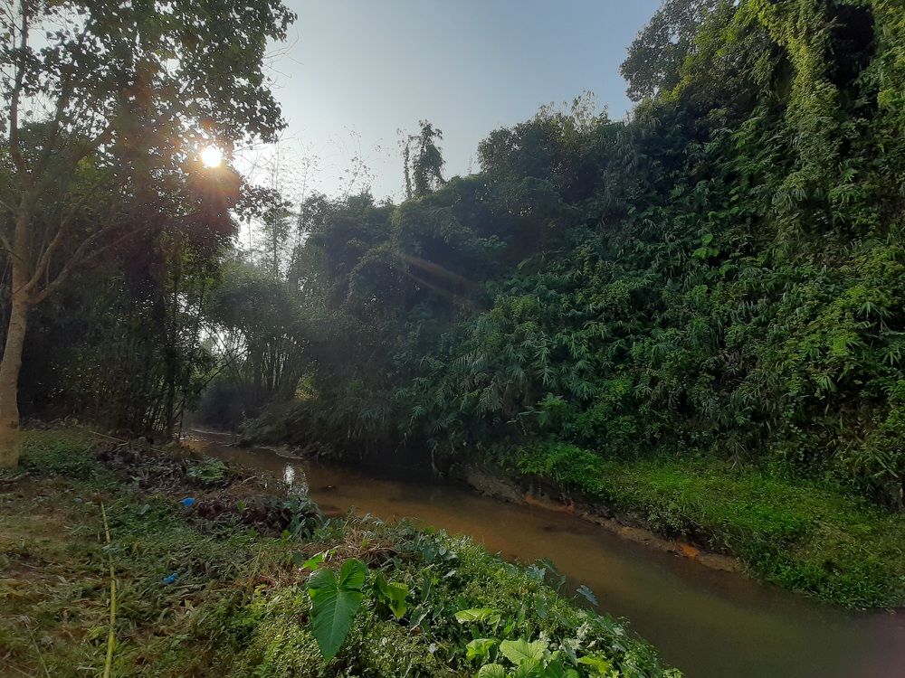 Photograph by Mostafa Shahriar