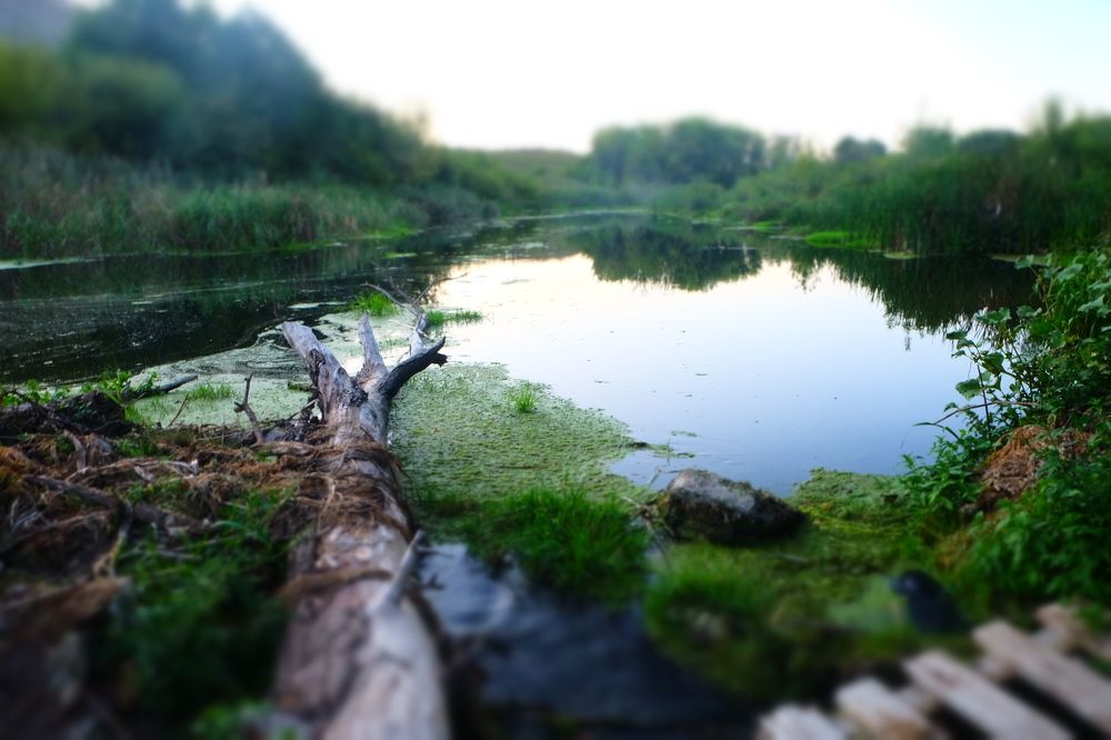 Photograph by Ирина Степанова