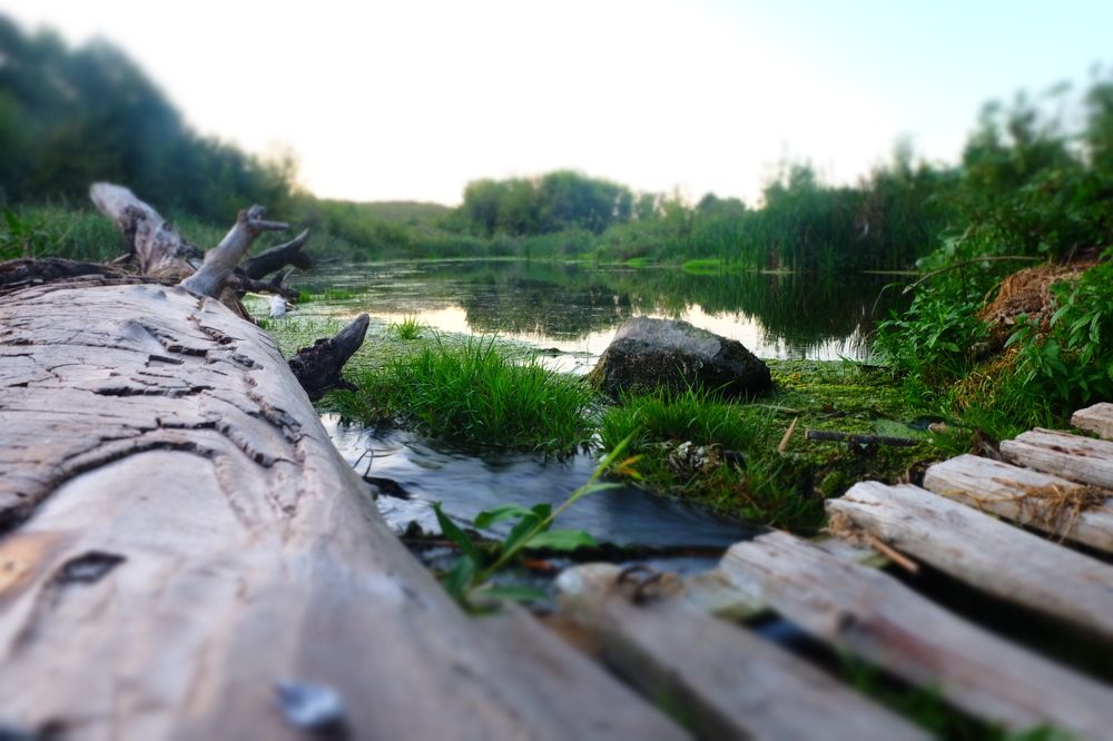 Photograph by Ирина Степанова