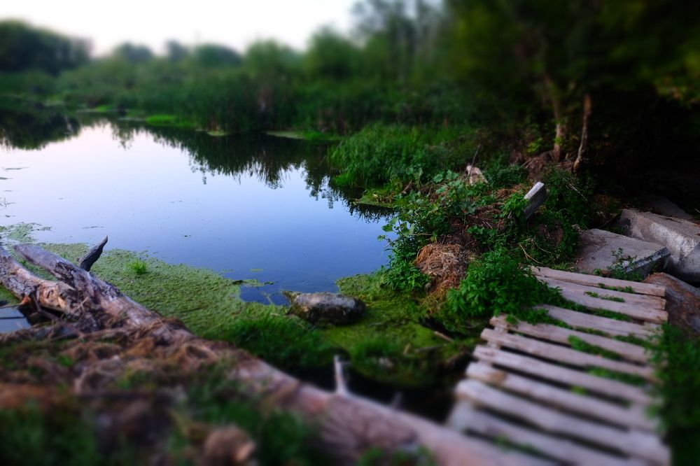 Photograph by Ирина Степанова