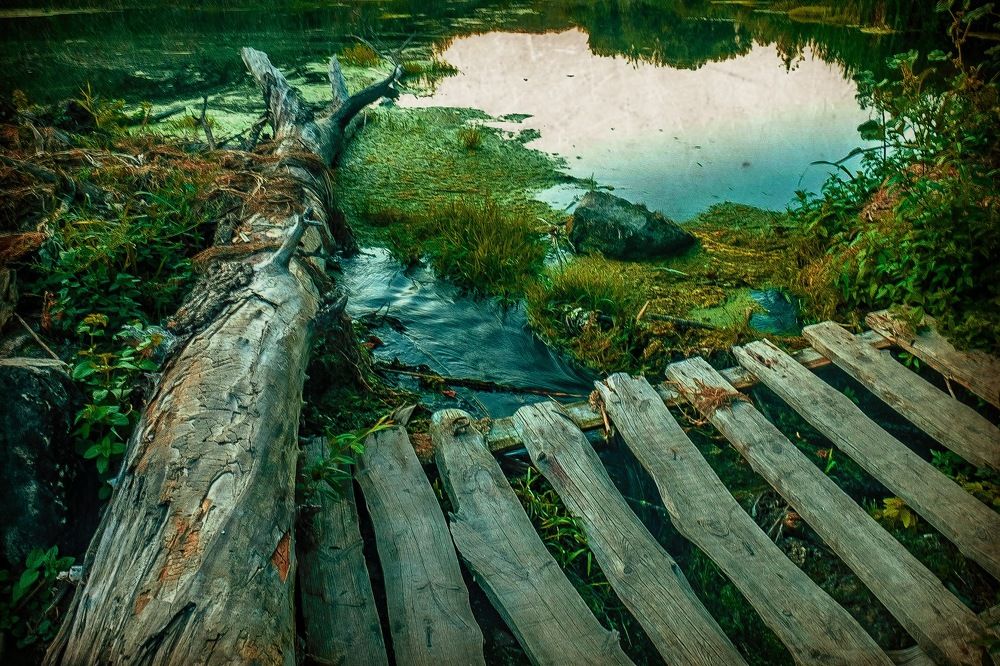 Photograph by Ирина Степанова