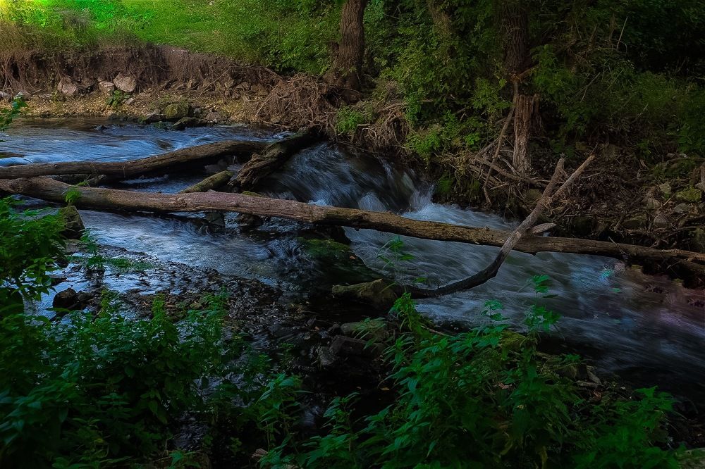 Photograph by Ирина Степанова