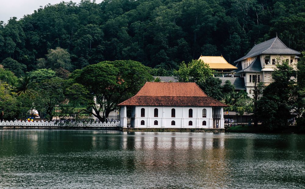 Photograph by Sumith Wickramasinghe