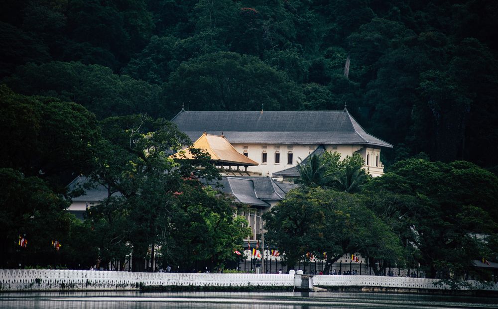 Photograph by Sumith Wickramasinghe