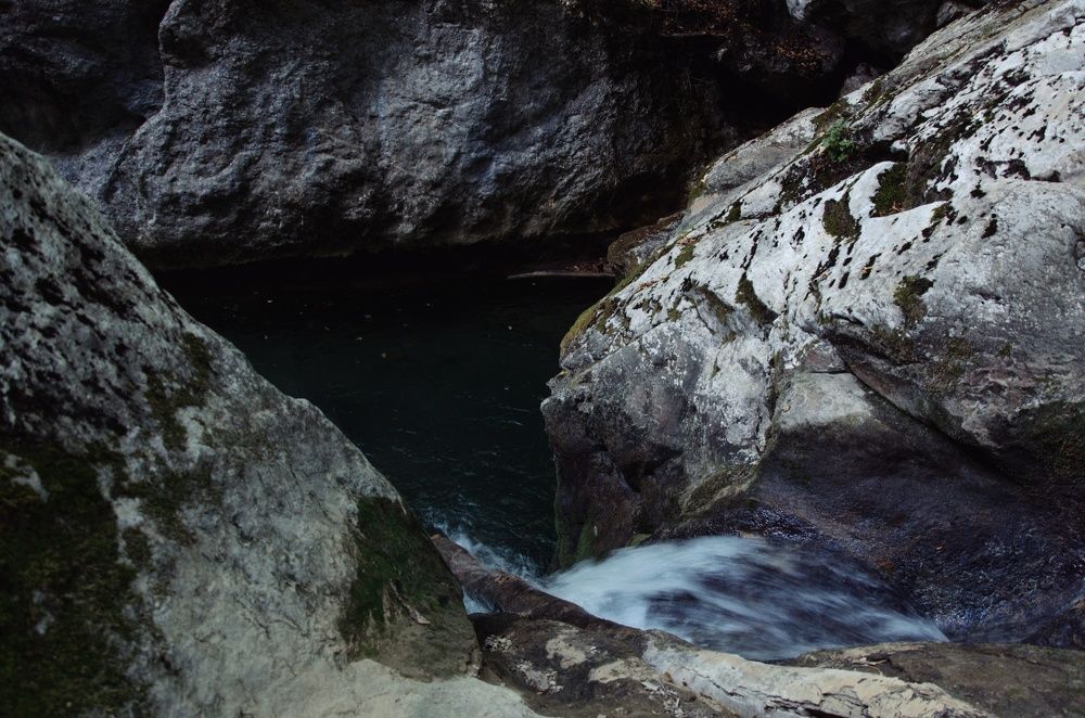 Photograph by Дария Мартынова