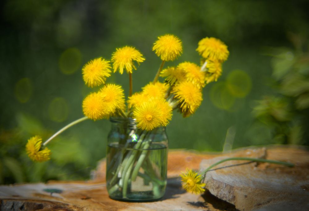 Photograph by Галина Патрушева