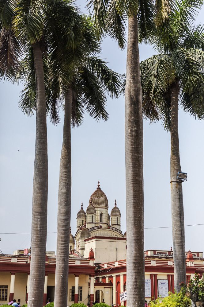 Photograph by sanchayan chowdhury