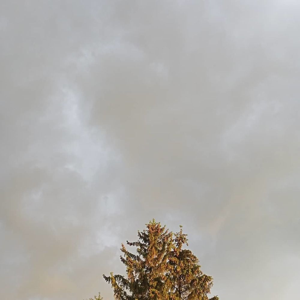 Photograph by Любовь Дмитренко