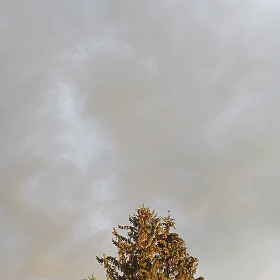 Photo #6188291