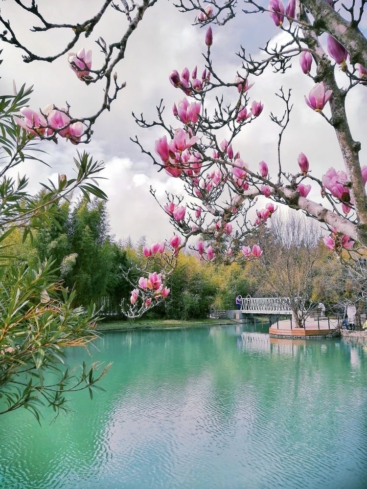 Photograph by Светлана Фокина